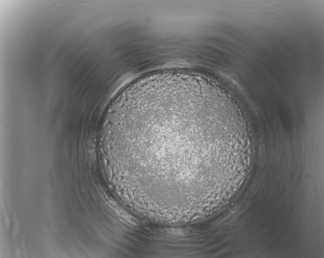 X0000077991409200611171742