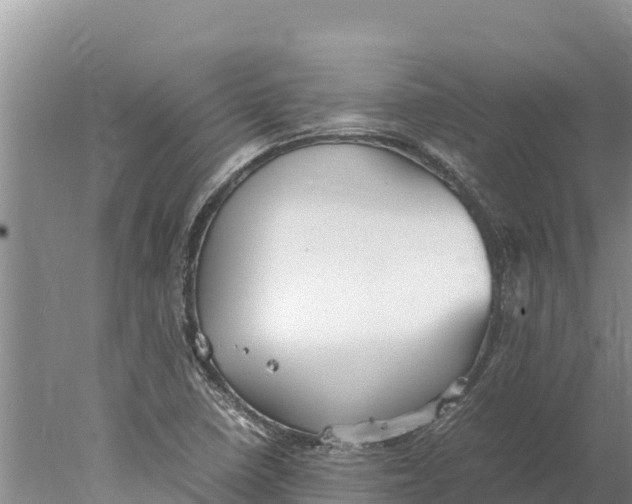 X0000077991410200611171743