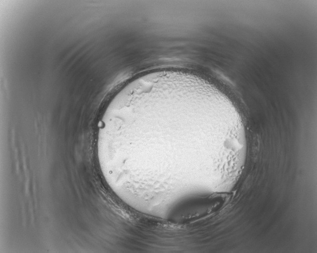 X0000077991411200611171743