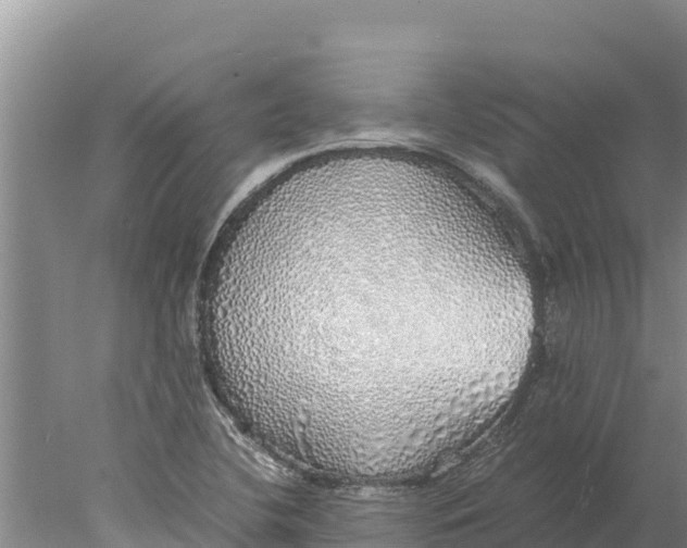 X0000077991412200611171743