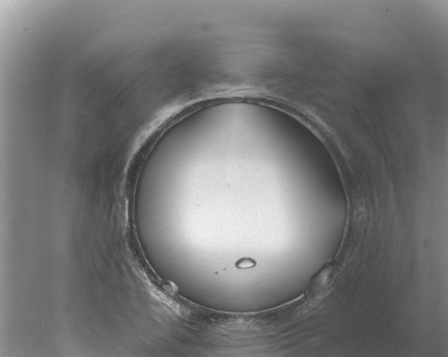 X0000077991414200611171743