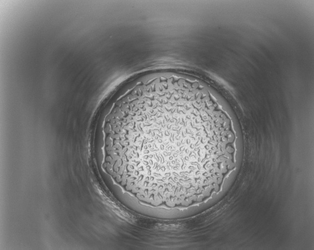 X0000077991415200611171743