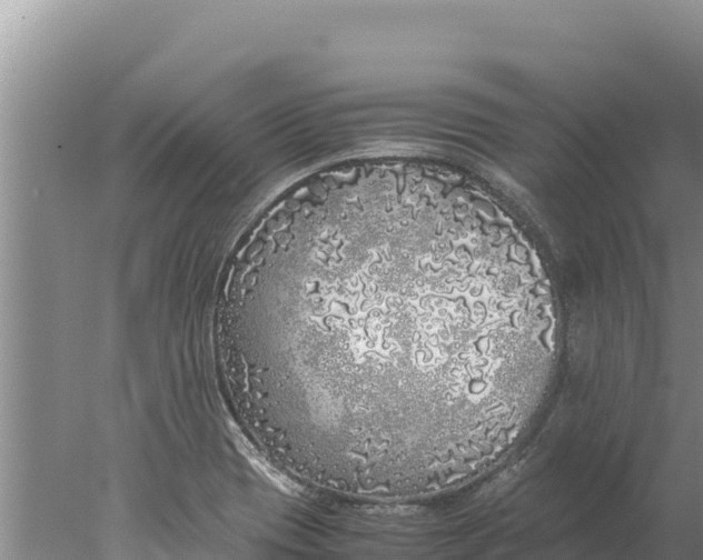 X0000077991417200611171743