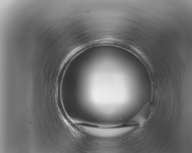 X0000077991418200611171743