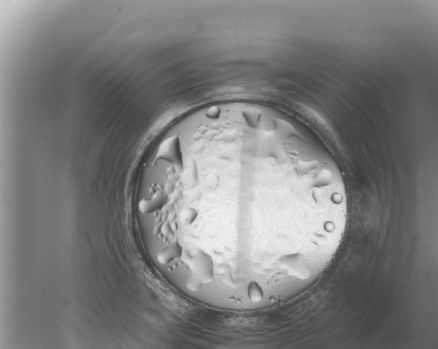 X0000077991419200611171743