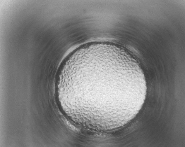 X0000077991420200611171743