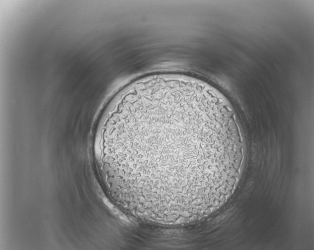 X0000077991421200611171743