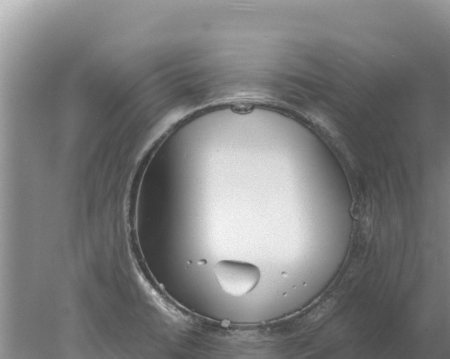 X0000077991422200611171743