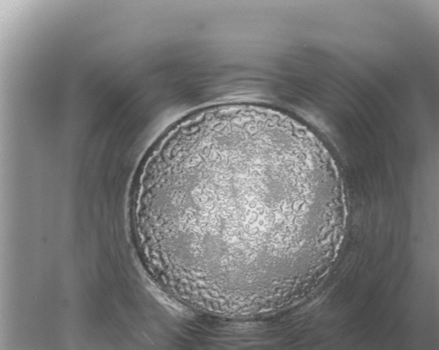 X0000077991423200611171743