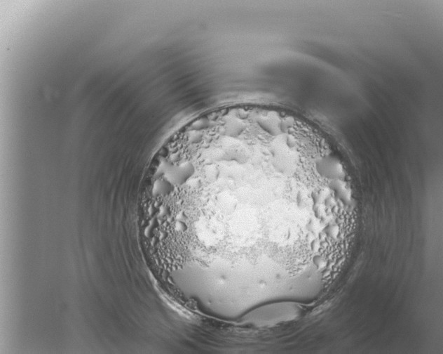 X0000077991425200611171743