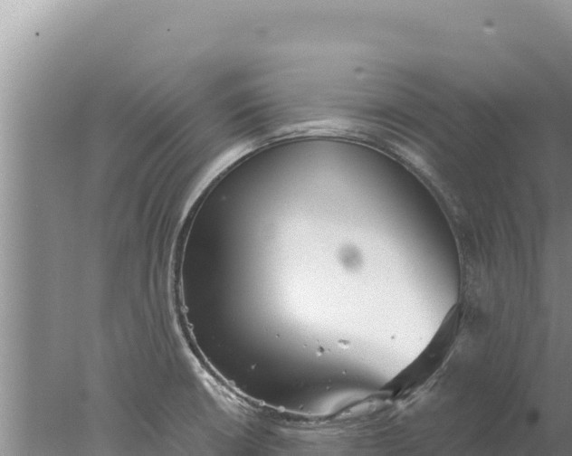 X0000077991426200611171743