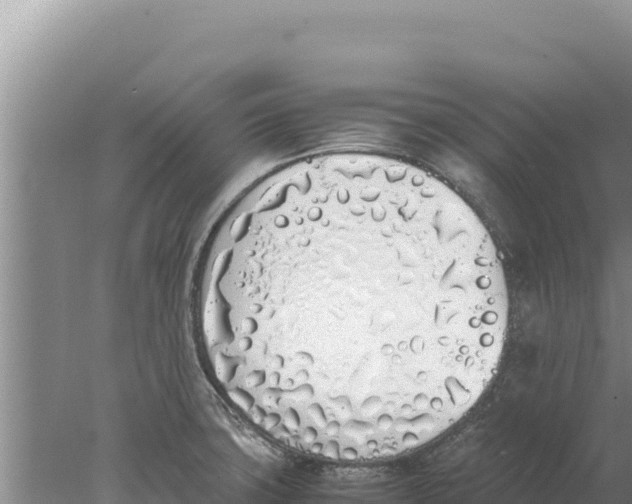 X0000077991427200611171743