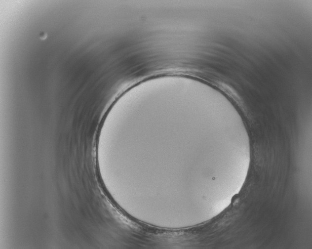 X0000077991428200611171743