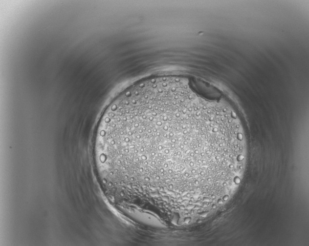 X0000077991429200611171743