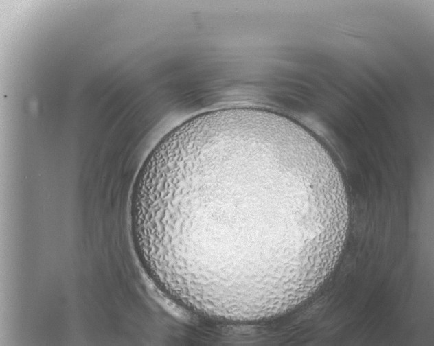 X0000077991431200611171743