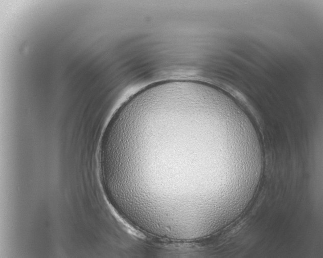 X0000077991432200611171743