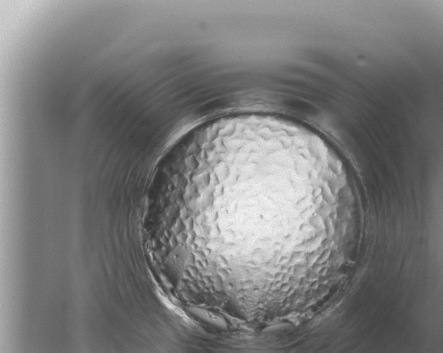 X0000077991433200611171743