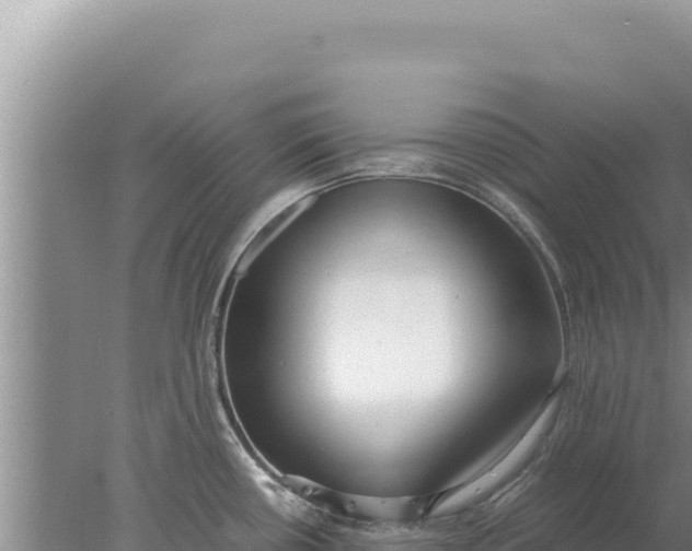 X0000077991434200611171743