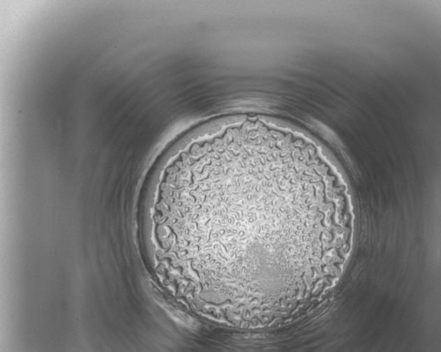 X0000077991435200611171743