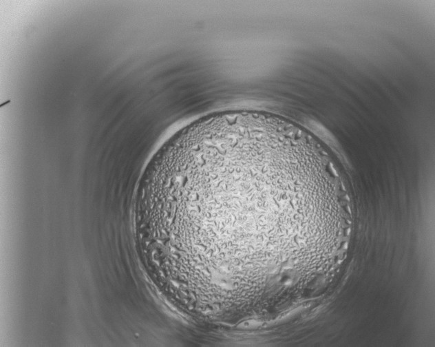 X0000077991436200611171743