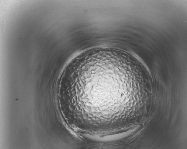 X0000077991437200611171743