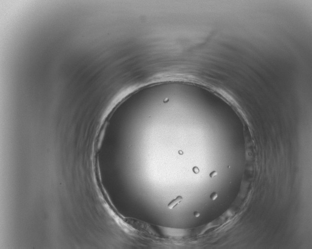 X0000077991438200611171743