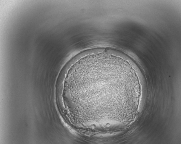 X0000077991439200611171743