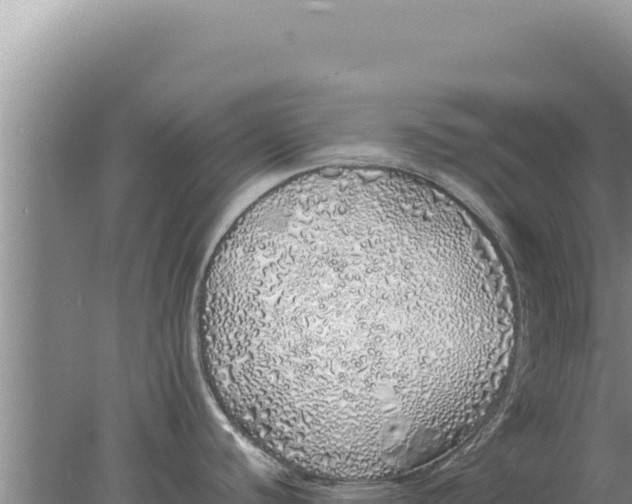 X0000077991440200611171743