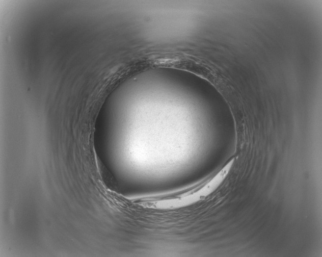 X0000077991441200611171742