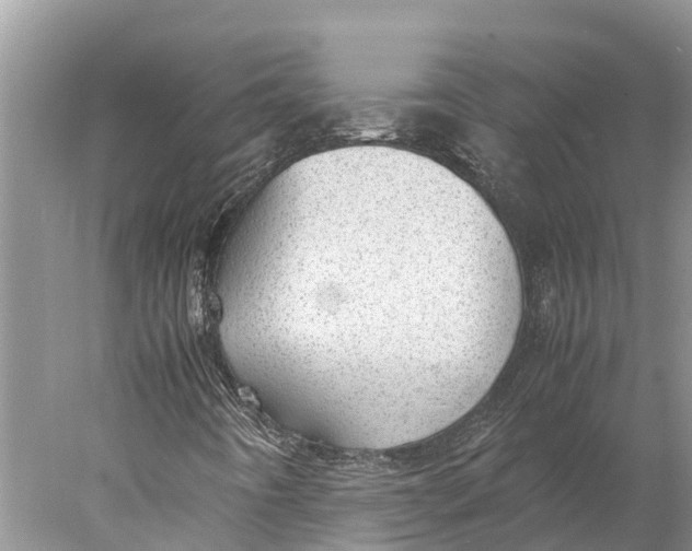 X0000077991442200611171742