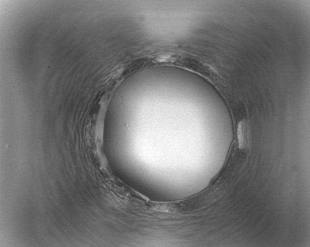 X0000077991443200611171742