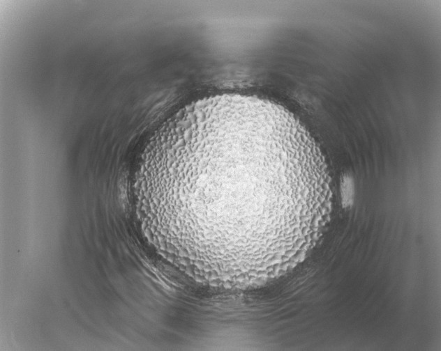 X0000077991444200611171742