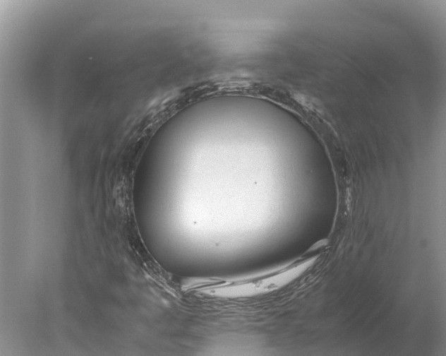 X0000077991445200611171742