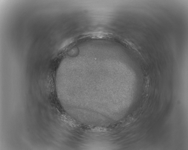 X0000077991446200611171742