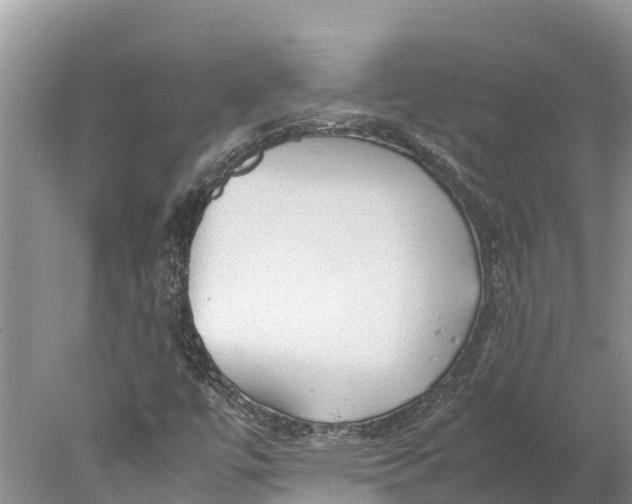 X0000077991447200611171742