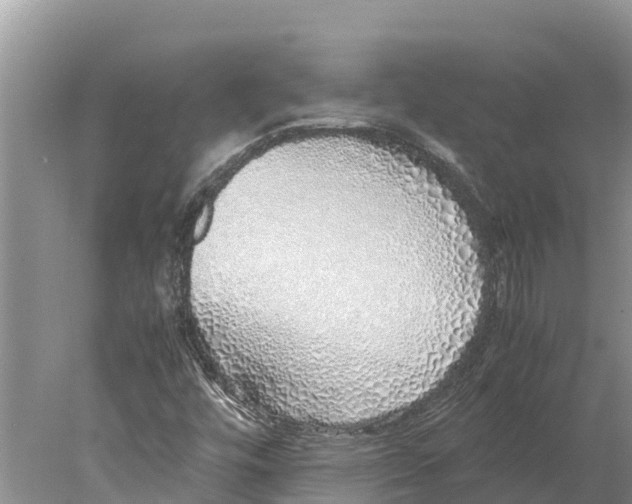 X0000077991448200611171742