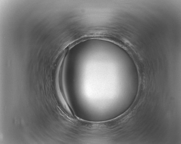 X0000077991449200611171742