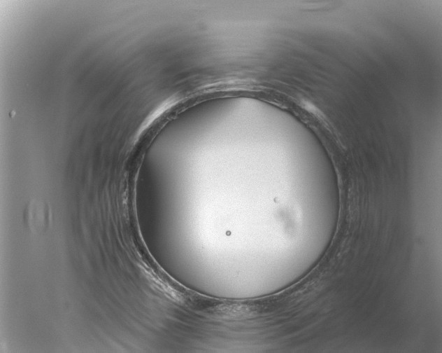 X0000077991450200611171742