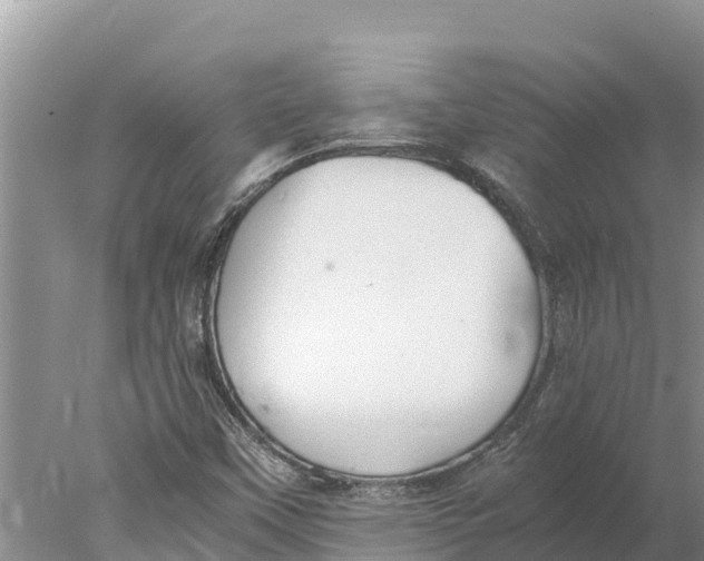 X0000077991451200611171742