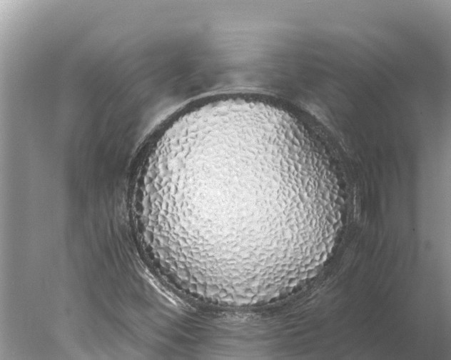 X0000077991452200611171742