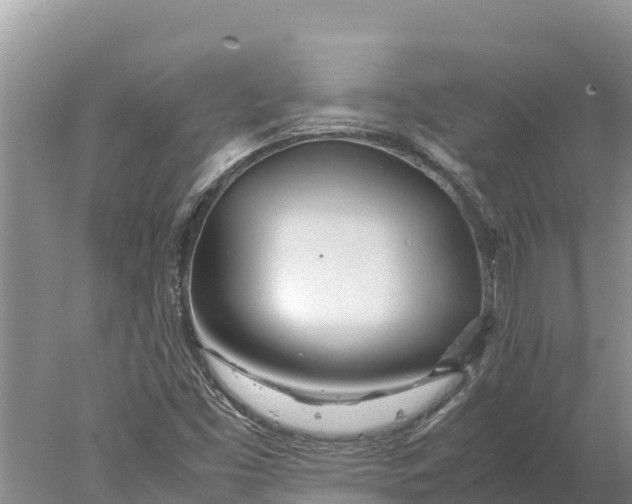 X0000077991453200611171742