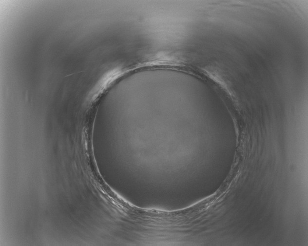 X0000077991455200611171742