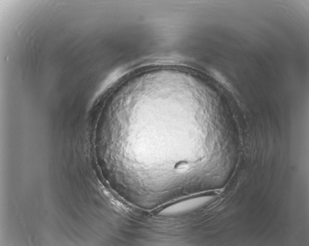 X0000077991456200611171742