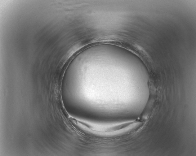 X0000077991457200611171742