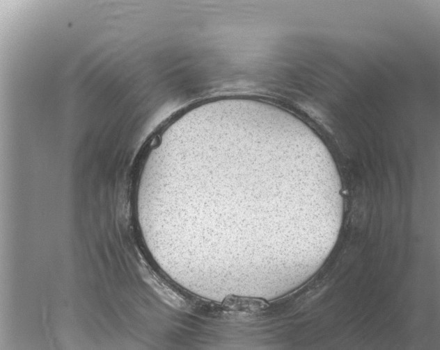 X0000077991458200611171742