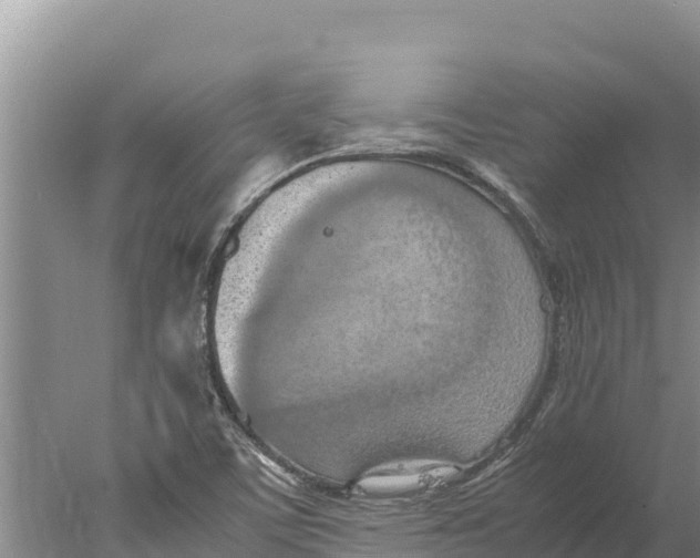 X0000077991459200611171742