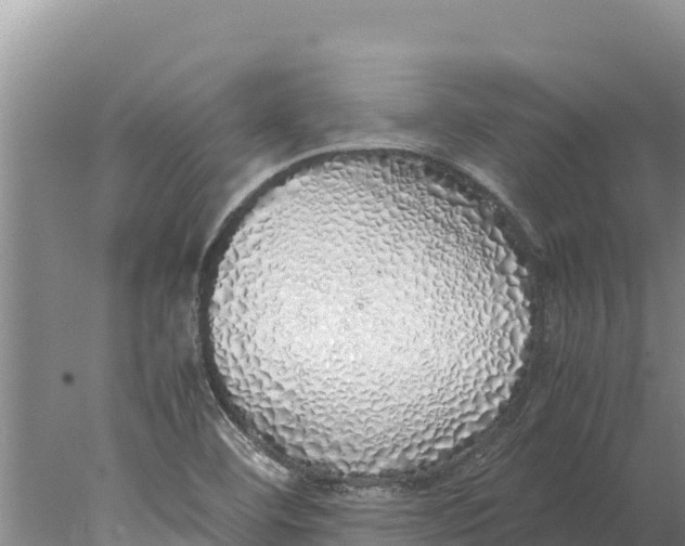 X0000077991460200611171742