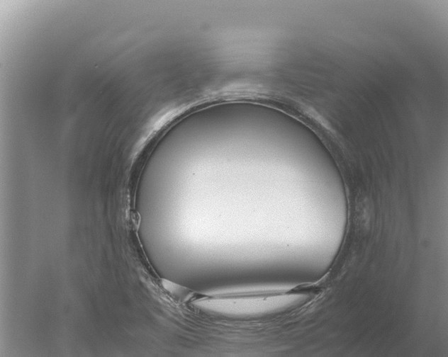 X0000077991461200611171742