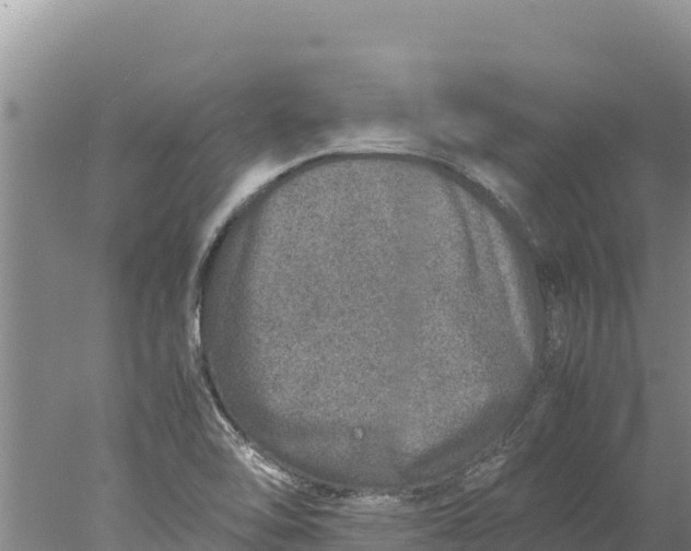 X0000077991462200611171742