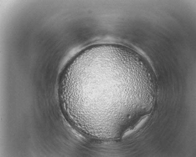 X0000077991464200611171742